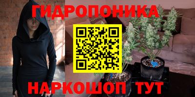 трава Будённовск