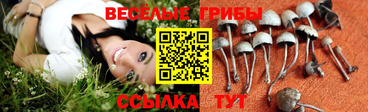 Норильск  Галлюциногенные грибы Magic Shrooms  Вход с VPN 